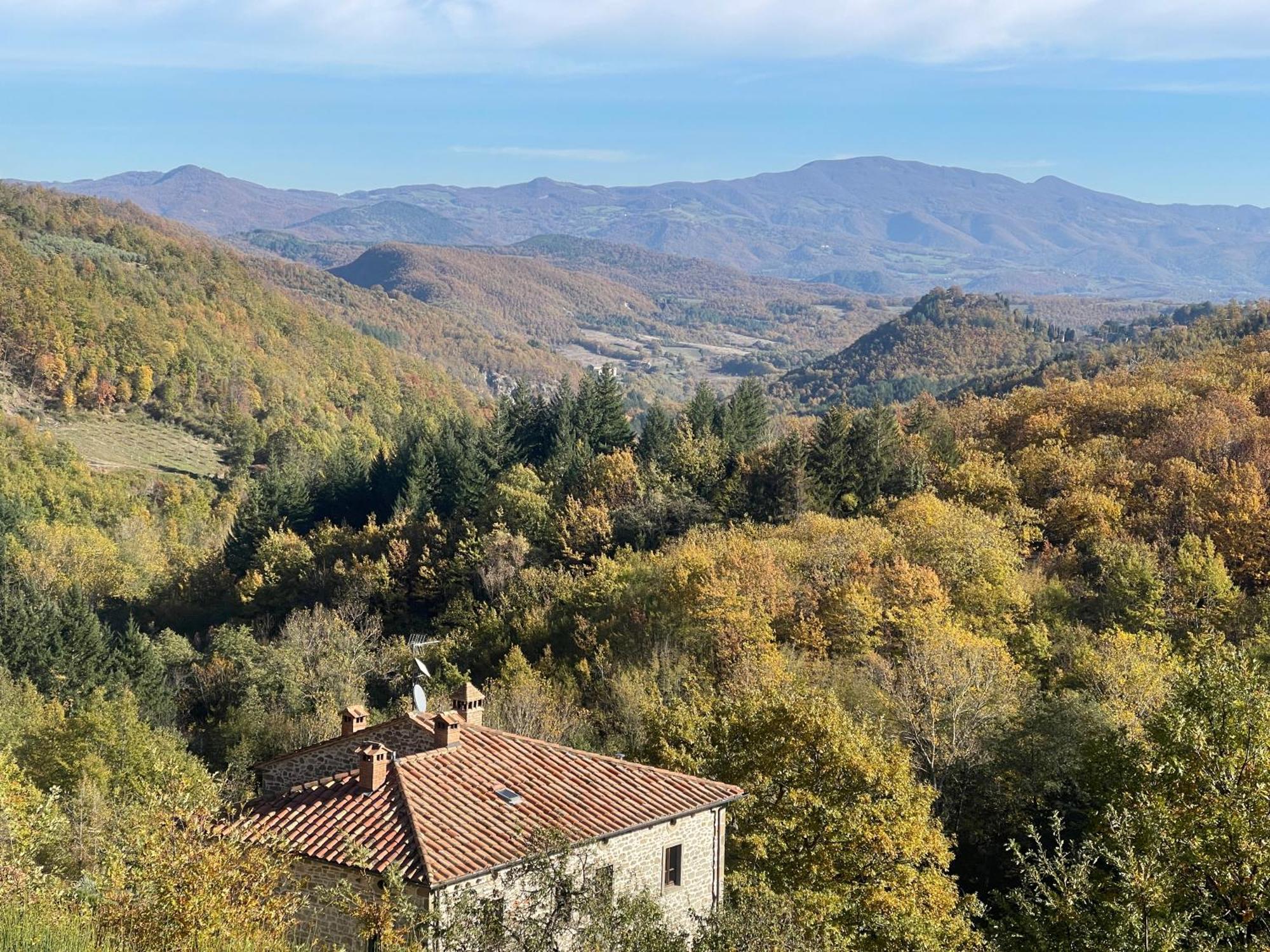 Bio Agriturismo Il Vigno Caprese Michelangelo Exterior photo